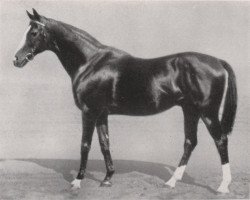 stallion Lancelot xx (Thoroughbred, 1915, from Saint Maclou xx)