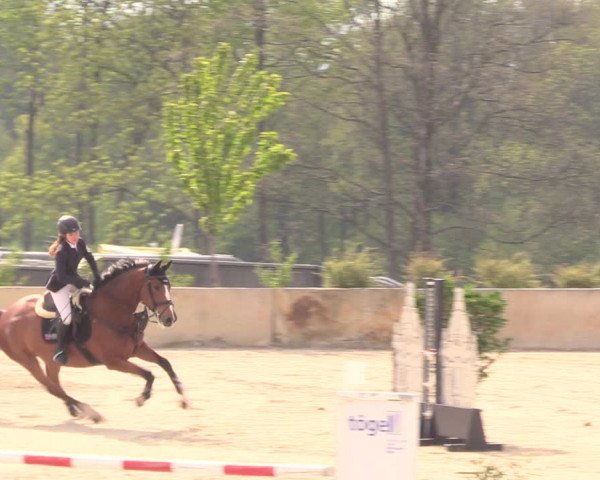 Reitturnier Oberfrauendorf 2019