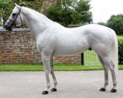 stallion Paris House xx (Thoroughbred, 1989, from Petong xx)