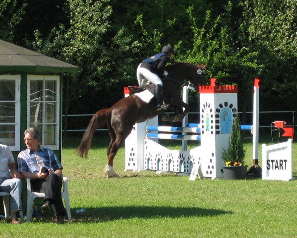 broodmare Finesse (Hessian Warmblood, 1990, from Furioso's Sohn)