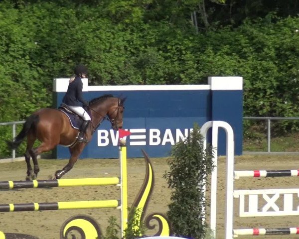 Reitturnier Ladenburg 2019