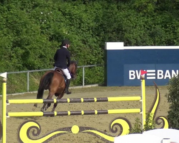 Reitturnier Ladenburg 2019