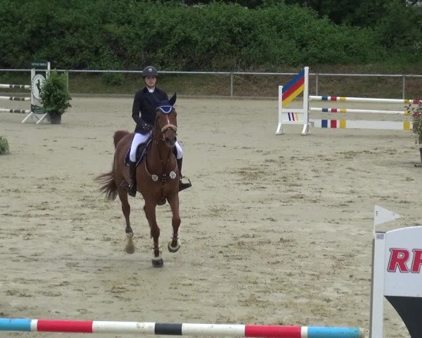 Reitturnier Ladenburg 2019