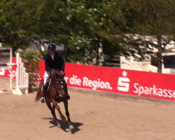 Reitturnier Oberfrauendorf 2019