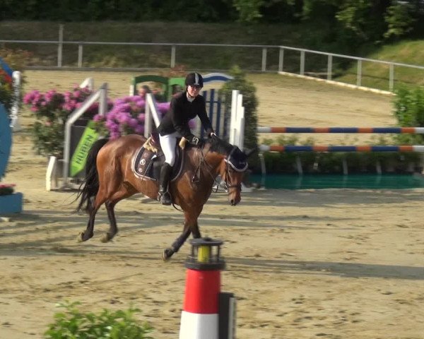 Reitturnier Ladenburg 2019