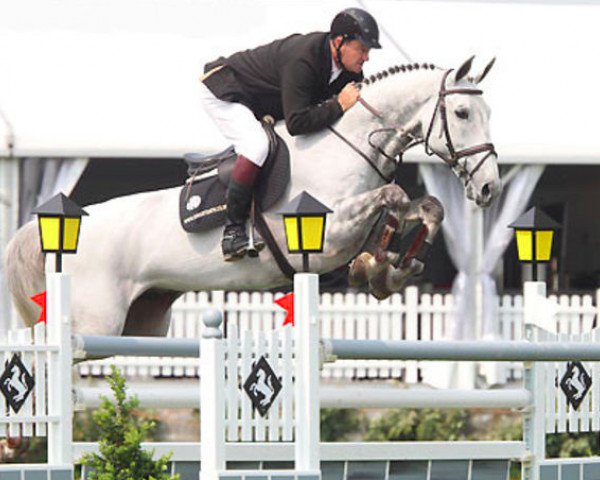 stallion Balourado (KWPN (Royal Dutch Sporthorse), 2000, from Baloubet du Rouet)