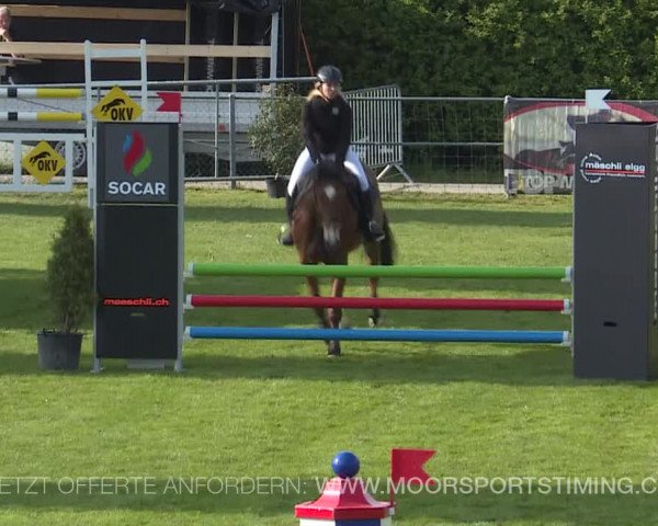 Reitturnier Elgg 2019