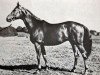 stallion Utter (Swedish Warmblood, 1941, from Locarno)
