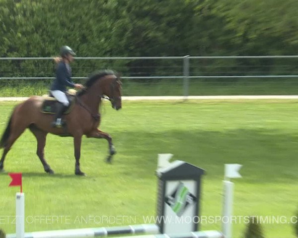 Reitturnier Elgg 2019