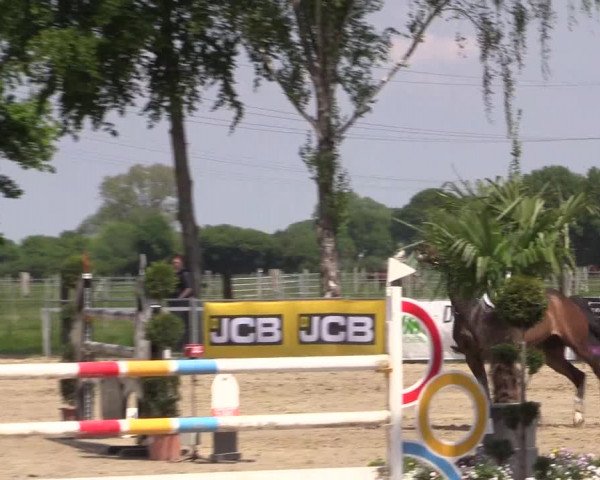 Reitturnier Dortmund-Asseln 2019