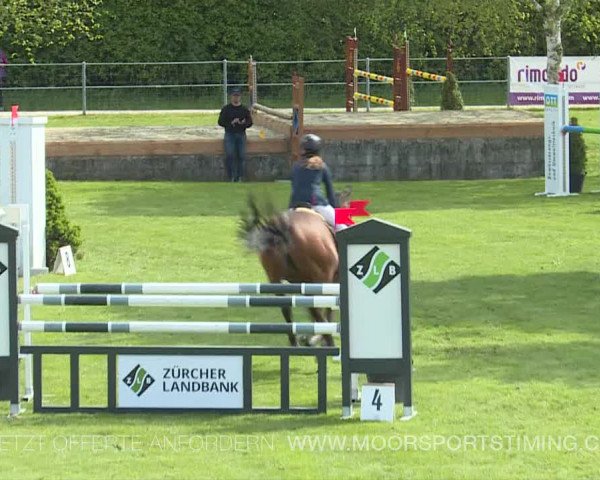 Reitturnier Elgg 2019
