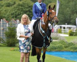 jumper Funnycan (KWPN (Royal Dutch Sporthorse), 2010, from Zavall VDL)