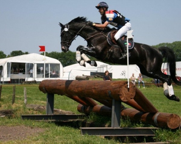 jumper Cavalor Chai Chai (KWPN (Royal Dutch Sporthorse), 2007)