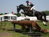 jumper Cavalor Chai Chai (KWPN (Royal Dutch Sporthorse), 2007)