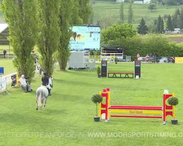 Reitturnier Elgg 2019