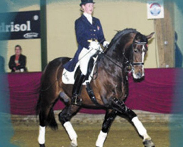 stallion Sultano (KWPN (Royal Dutch Sporthorse), 1992, from Sultan)