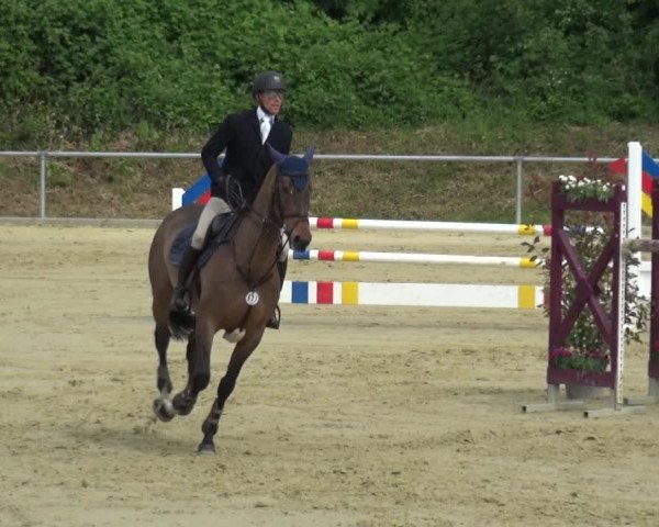 Reitturnier Ladenburg 2019