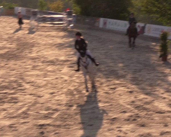 Reitturnier Oberfrauendorf 2019