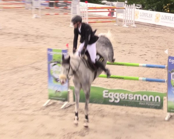 Reitturnier Oberfrauendorf 2019