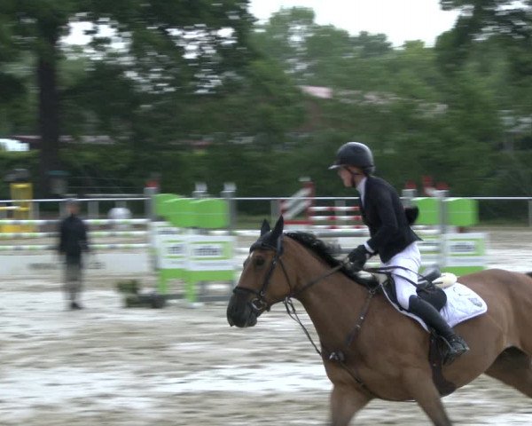 Reitturnier Ostenfelde-Vornholz 2019