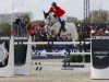 jumper Bowie Z (Zangersheide riding horse, 2003, from Balou du Rouet)