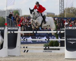 jumper Bowie Z (Zangersheide riding horse, 2003, from Balou du Rouet)