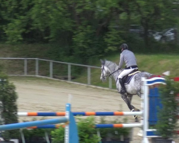 Reitturnier Ladenburg 2019