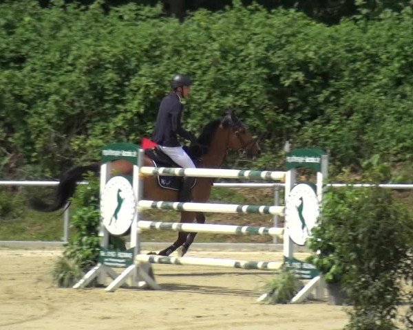 Reitturnier Ladenburg 2019