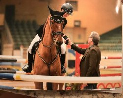 jumper Erthago (KWPN (Royal Dutch Sporthorse), 2009, from Carthino Z)