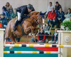 jumper Zatopek 8 (KWPN (Royal Dutch Sporthorse), 2004, from Ovidius)