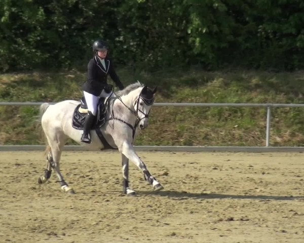 Reitturnier Ladenburg 2019
