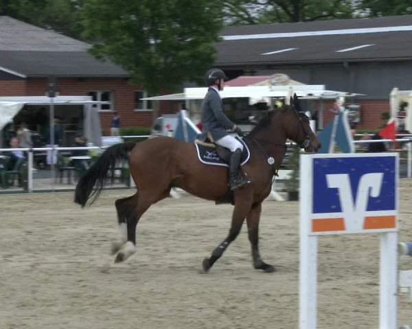 Reitturnier Ostenfelde-Vornholz 2019