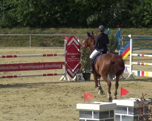 Reitturnier Ladenburg 2019