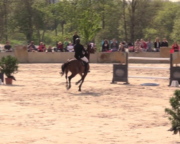 Reitturnier Oberfrauendorf 2019