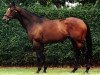 stallion Bigstone xx (Thoroughbred, 1990, from Last Tycoon xx)