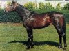 stallion Carlemont xx (Thoroughbred, 1962, from Charlottesville xx)