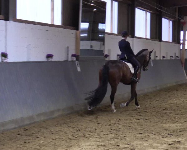 Reitturnier Dortmund-Asseln 2019