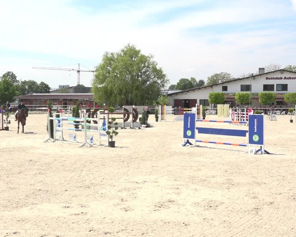 Reitturnier Achern 2019