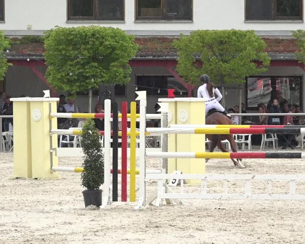 Reitturnier Achern 2019