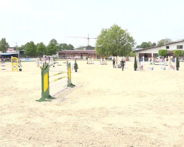 Reitturnier Achern 2019