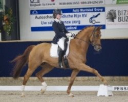 dressage horse Alaska Dvb (KWPN (Royal Dutch Sporthorse), 2005, from Weltino)