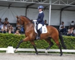 dressage horse Dion Johnson (KWPN (Royal Dutch Sporthorse), 2008, from Glock's Johnson Tn)