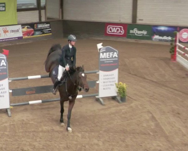 Reitturnier Heilbronn 2021