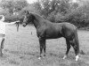 horse Woldstreek (Royal Warmblood Studbook of the Netherlands (KWPN), 1980, from Le Val Blanc xx)