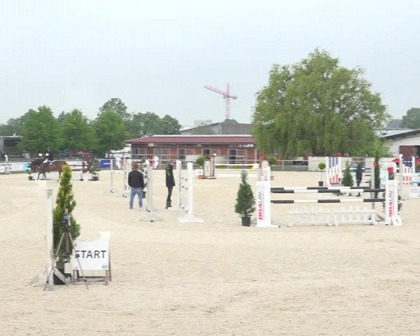 Reitturnier Achern 2019