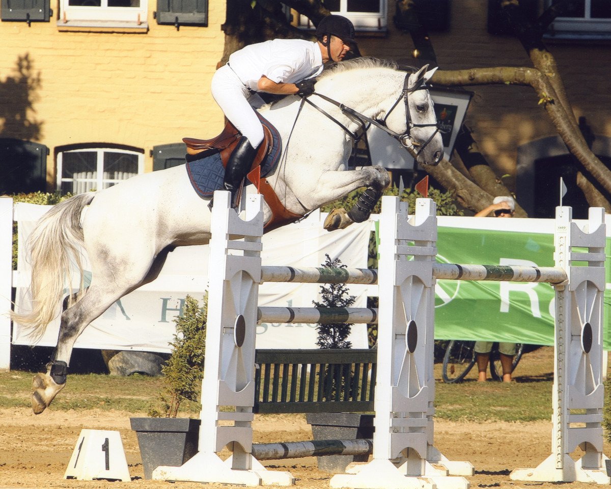 stallion Claro Que Si (Holsteiner, 1997, from Corrado I)