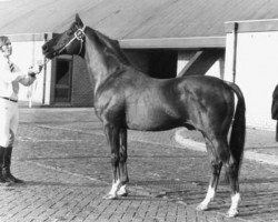 stallion Ishan xx (Thoroughbred, 1958, from Nantallah xx)