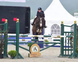 jumper Vayrenta (KWPN (Royal Dutch Sporthorse), 2002, from Haarlem)