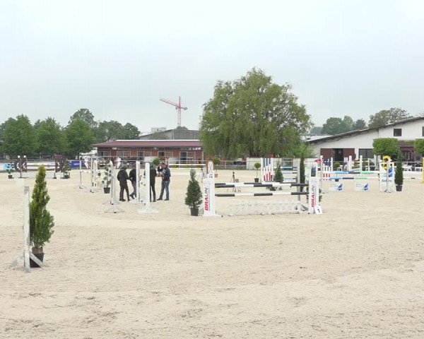 Reitturnier Achern 2019