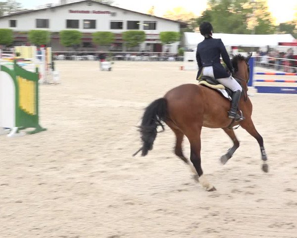 Reitturnier Achern 2019
